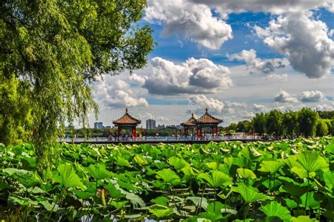 De Betoverende Schoonheid van de Luohe Nanhu Park: Een Oase van Rust en Cultuur!