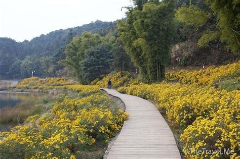 De Verborgen Schoonheid van Het Yingkou Shimen Park: Een Ontsnapping uit de Gewone Wereld!