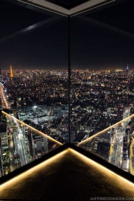 De Shibuya Sky: Een Panoramisch Wonder en De Perfecte Selfie-Locatie