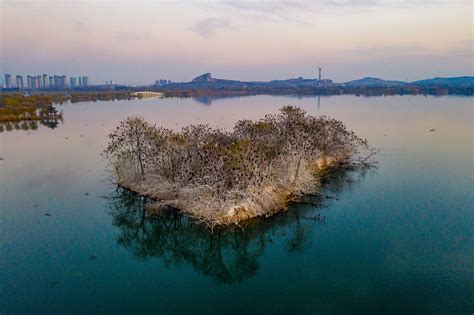 De Betoverende Schoonheid van de Xianning Nanhu Wetland Park: Een Oasis van Rust en Natuurlijke Pracht!